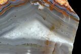 Beautiful Condor Agate From Argentina - Slab #79535-1